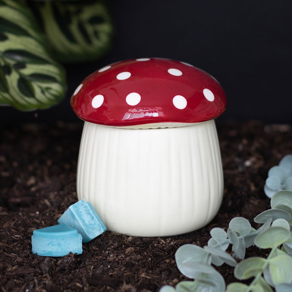 Toadstool oil burner on a shelf