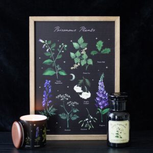 Poisonous Plants Framed Wall Art Print