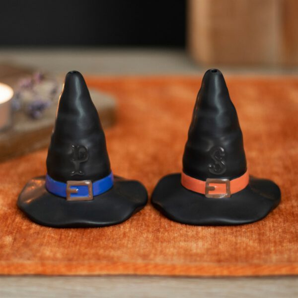 Witch Hat Salt And Pepper Shakers